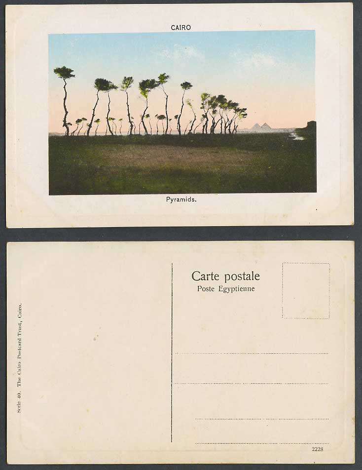 Egypt Old Embossed Colour Postcard Cairo Le Caire Pyramids Pyramides Trees River