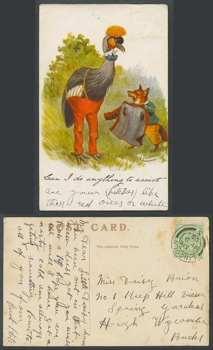 Louis Wain Bird Red Fox Can I do Anything to Assist 1905 Old Postcard Write Away