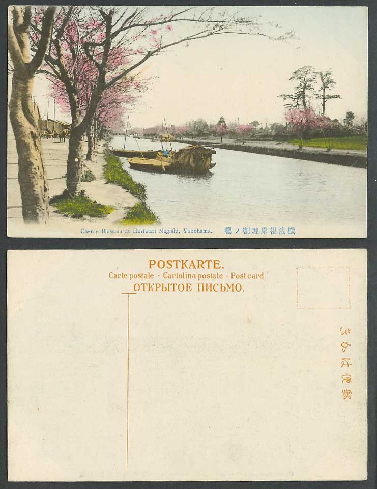 Japan Old Hand Tinted Postcard Cherry Blossoms Horiwari Negishi Yokohama 橫濱根岸掘割櫻