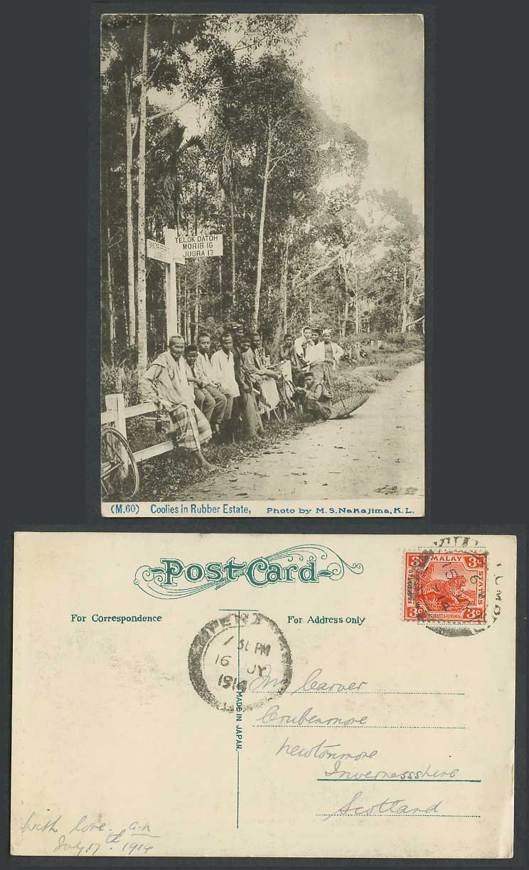 FMS 3c Tiger KL Penang 1914 Old Postcard Native Coolies in Rubber State, Bicycle
