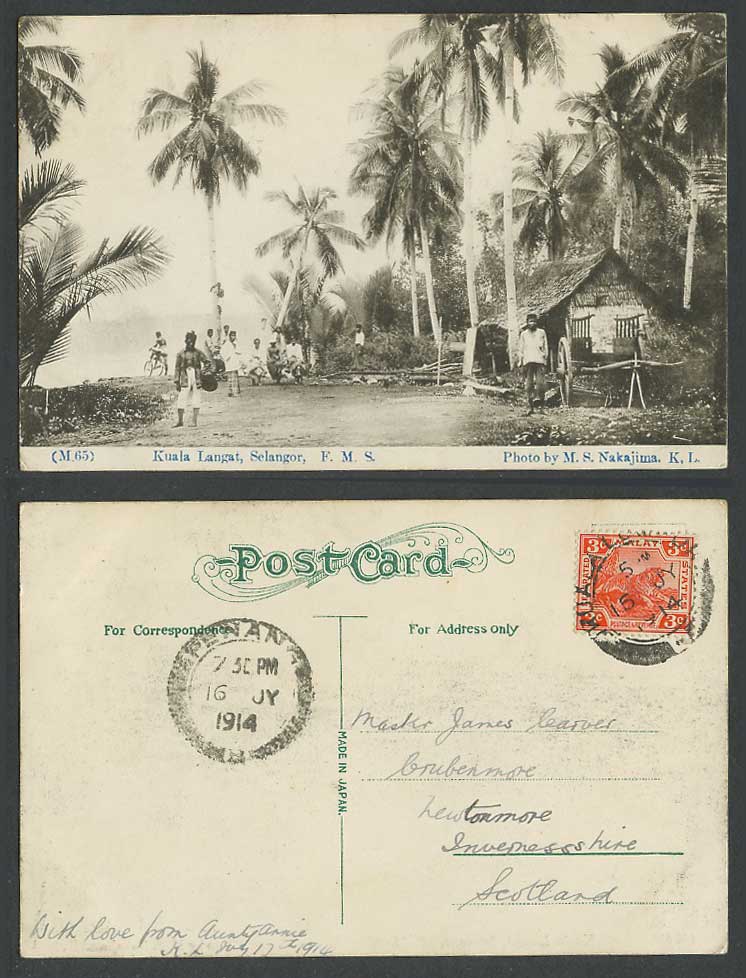 Selangor Kuala Langat, FMS Tiger 3c 1914 Old Postcard Bicycle Street Scene Palms