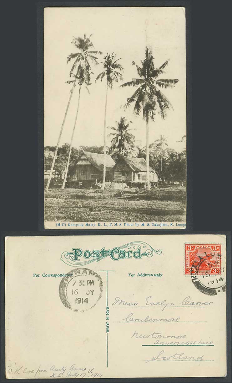 FMS 3c Tiger KL Penang 1914 Old Postcard Kampong Malay, Native Houses Palm Trees