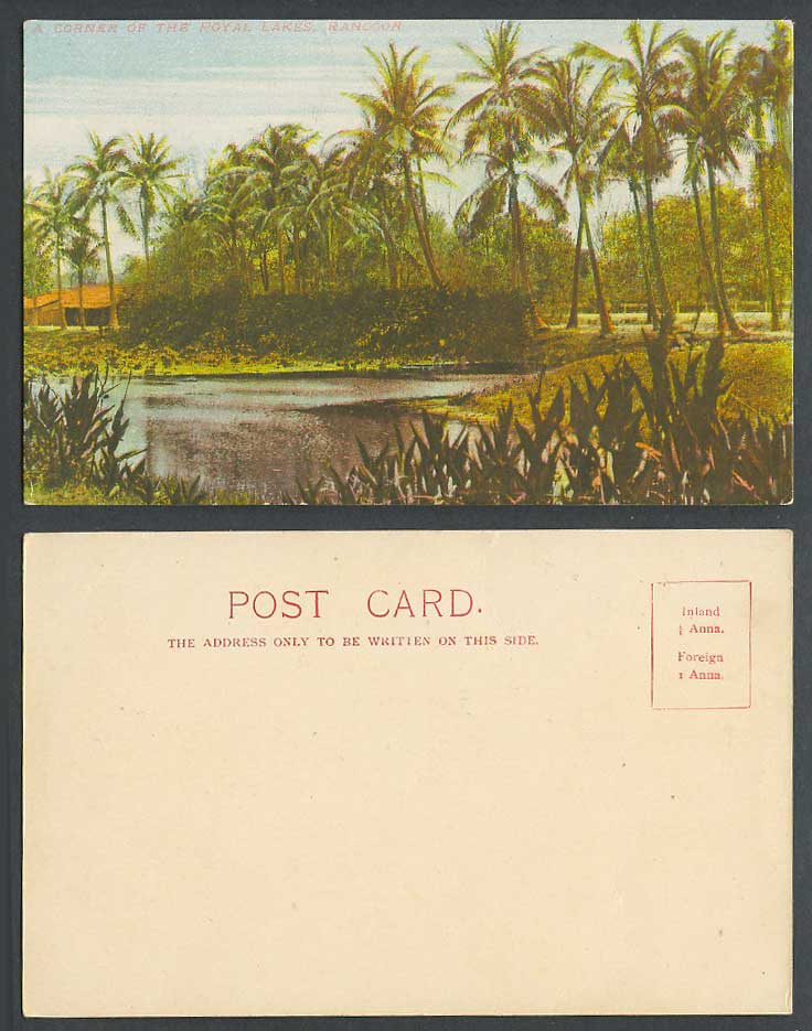 Burma Old Colour UB Postcard A Corner of Royal Lakes Rangoon, Palm Trees Burmese