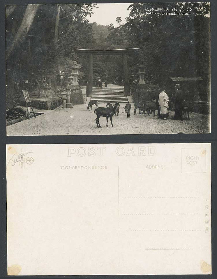 Japan Old Postcard Kasuga Shrine Nara Ninotorii Torii Gate Deer Lantern奈良春日神社二鳥居