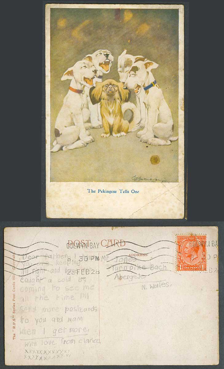 BONZO Dog GE Studdy 1928 Old Postcard The Pekingese Tells One, Dogs Puppies 1034
