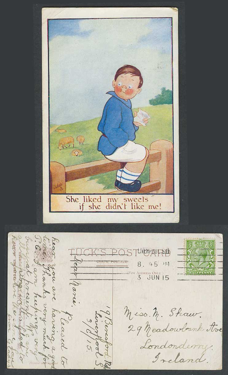 J Parlett 1915 Old Tuck's Postcard All For Her She Liked My Sweets Not Me, Sheep