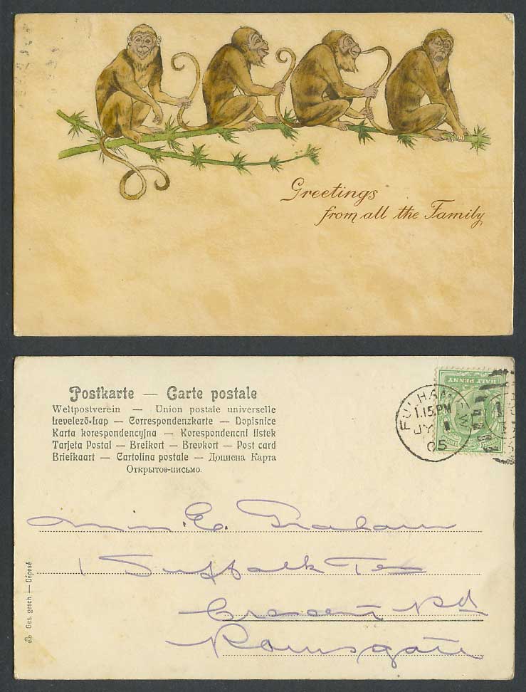 Monkey Monkeys 1905 Old Hand Painted U.B. Postcard Greetings from all the Family