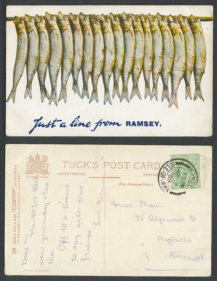 FISH 1909 Old Postcard Just a Line from Ramsey, Isle of Man, Tuck's Oilette 9373
