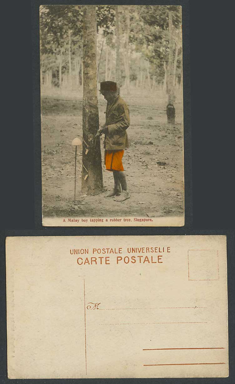 Singapore Old Hand Tinted Postcard Malay Boy Tapping Rubber Tree, English Method