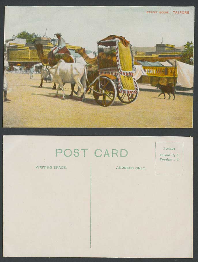 India Old Colour Postcard Street Scene TAJPORE Tanjore Dog Puppy Ox Cattle Camel