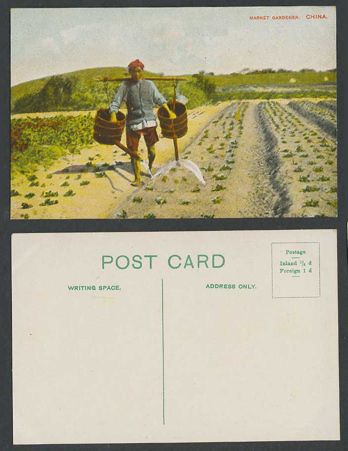 China Old Colour Postcard Market Gardener, Native Chinese Farmer at Work, Fields