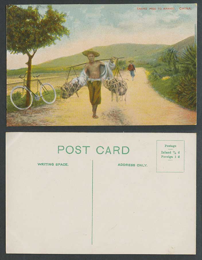 China Hong Kong Old Postcard Taking Pigs to Market, Chinaman Coolie Bicycle Bike