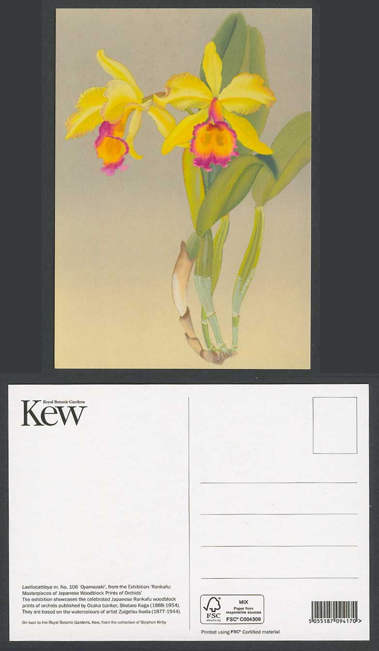 Laeliocattleya nr.No.106 Oyamazaki Orchid Flowers Artist Zuigetsu Ikeda Postcard