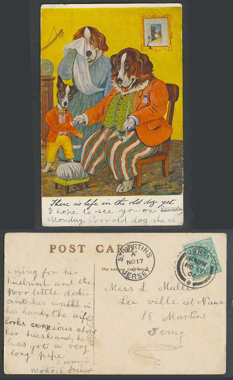 Louis Wain Artist Signed Dogs There is Life in the Old Dog Yet 1904 Old Postcard