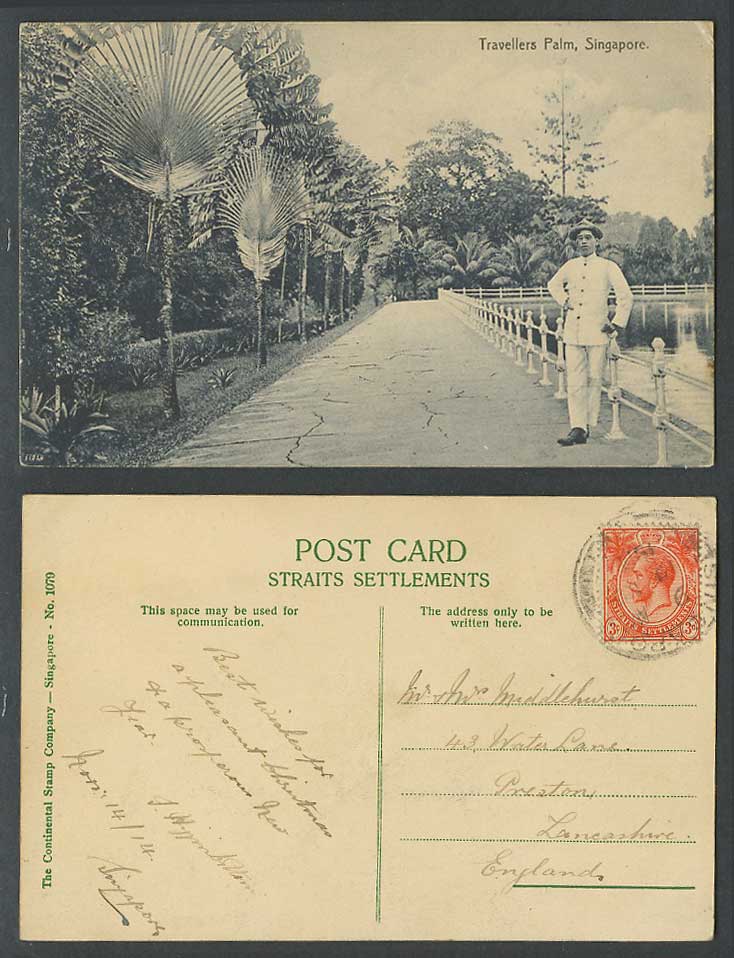 Singapore KG5 3c 1914 Old Postcard Travellers Palm Trees, Man Stand by Reservoir