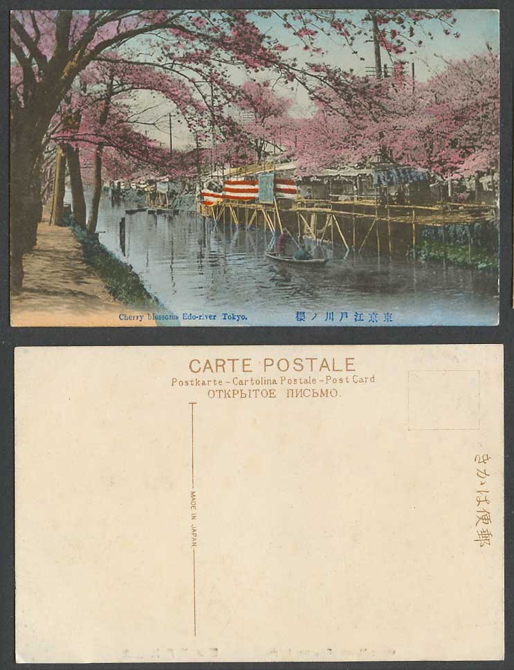 Japan Old Hand Tinted Postcard Cherry Blossoms Edo-River Edogawa Tokyo Boat 江戶川櫻