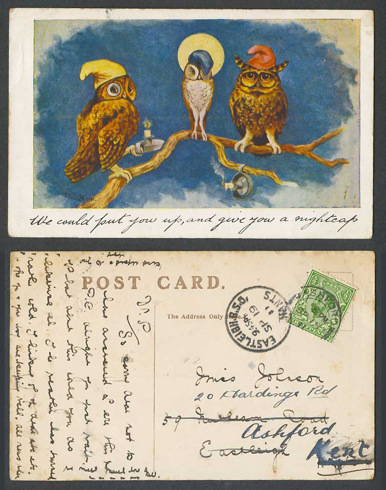 Louis Wain Artist Signed Owls Birds Put You Up Give U Nightcap 1911 Old Postcard