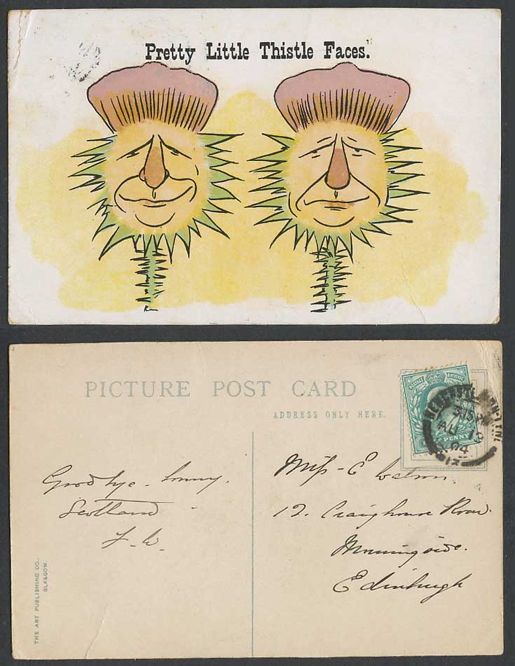 Pretty Little Thistle Faces Comic Humour 1904 Old Postcard Flower Flowers Heads
