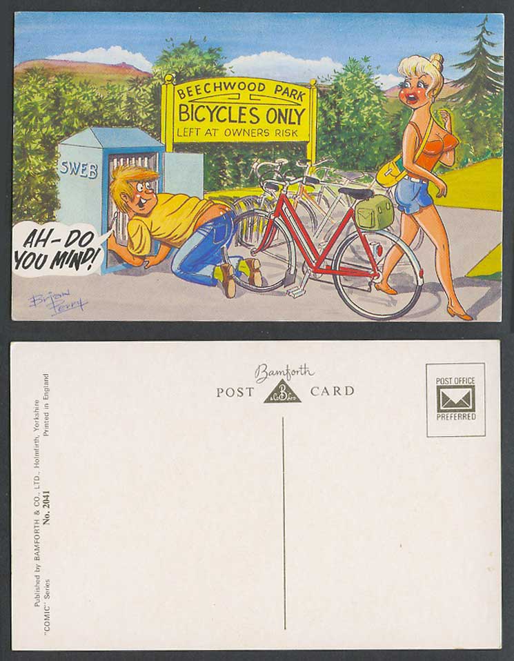 Brian Perry Early Postcard Beechwood Park Bicycles Only Left at Owners Risk SWEB