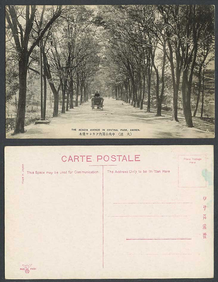 China Old Postcard The Acacia Avenue in Central Park Dairen Cart Tree 大連中央公園內 並木