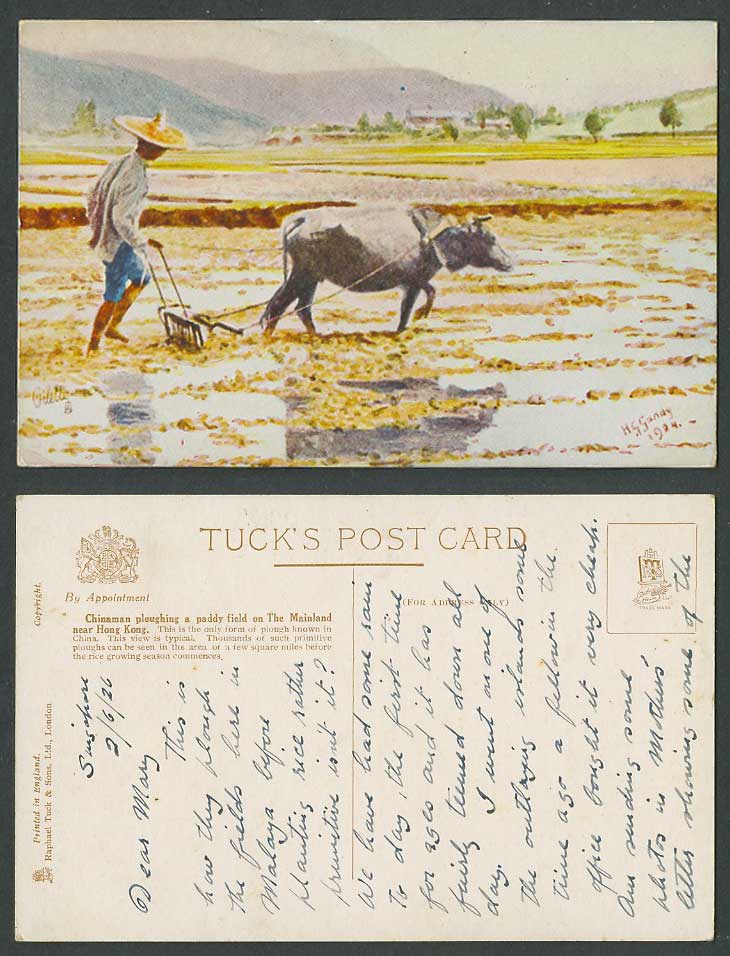 China Hong Kong H.G. Gandy 1924 Old Postcard Chinaman Plough Field Water Buffalo