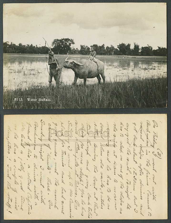 Malaya Malay Boy Riding Water Buffalo Farmer Fields 1927 Old Real Photo Postcard