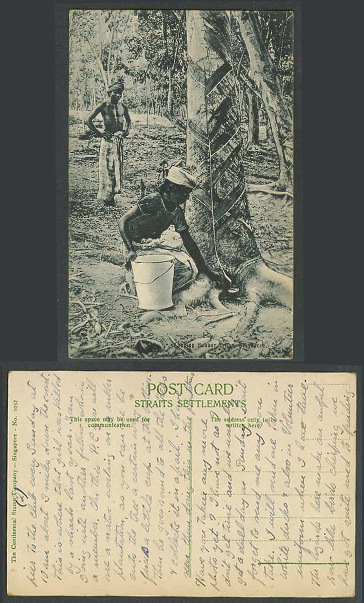 Singapore, Native Tappers Tapping Rubber Trees, Using Dutch Method Old Postcard