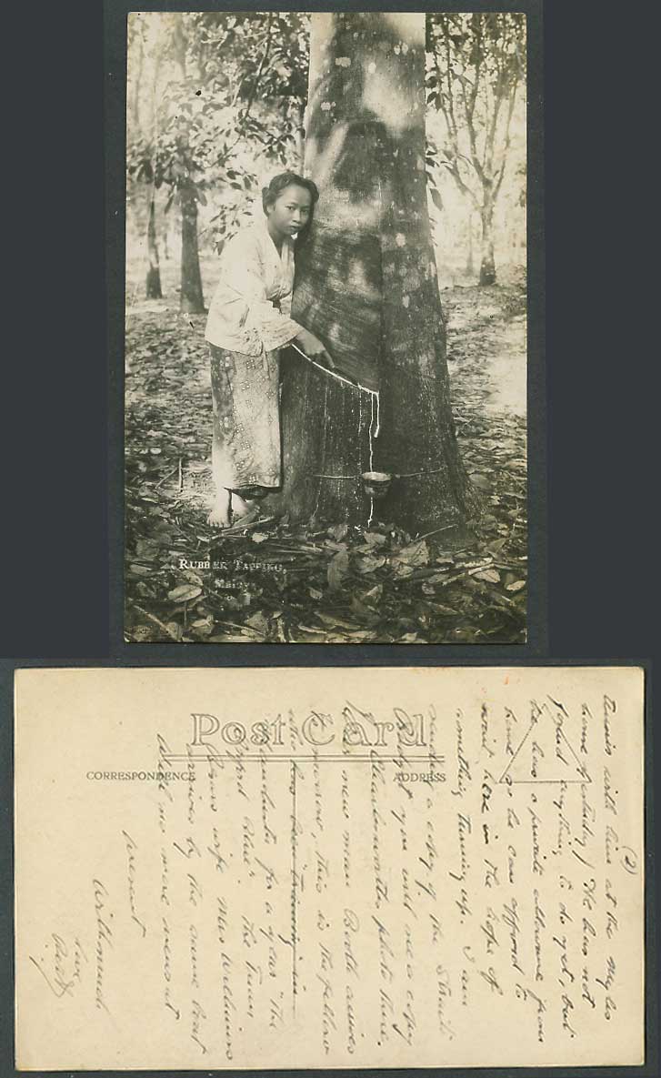 Singapore Old R Photo Postcard Malaya Rubber Tapper Woman Tapping English Method