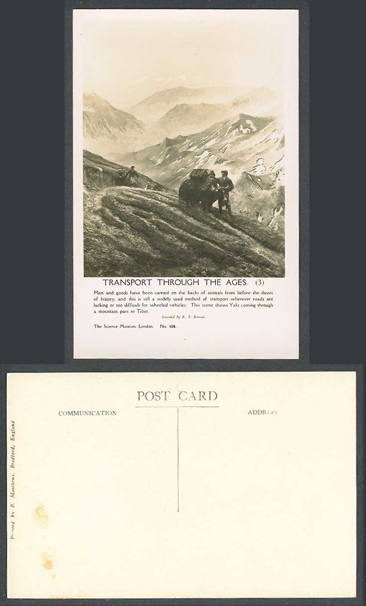 TIBET China RT Roussel Old RP Postcard Tibetan Yaks Coming Through Mountain Pass