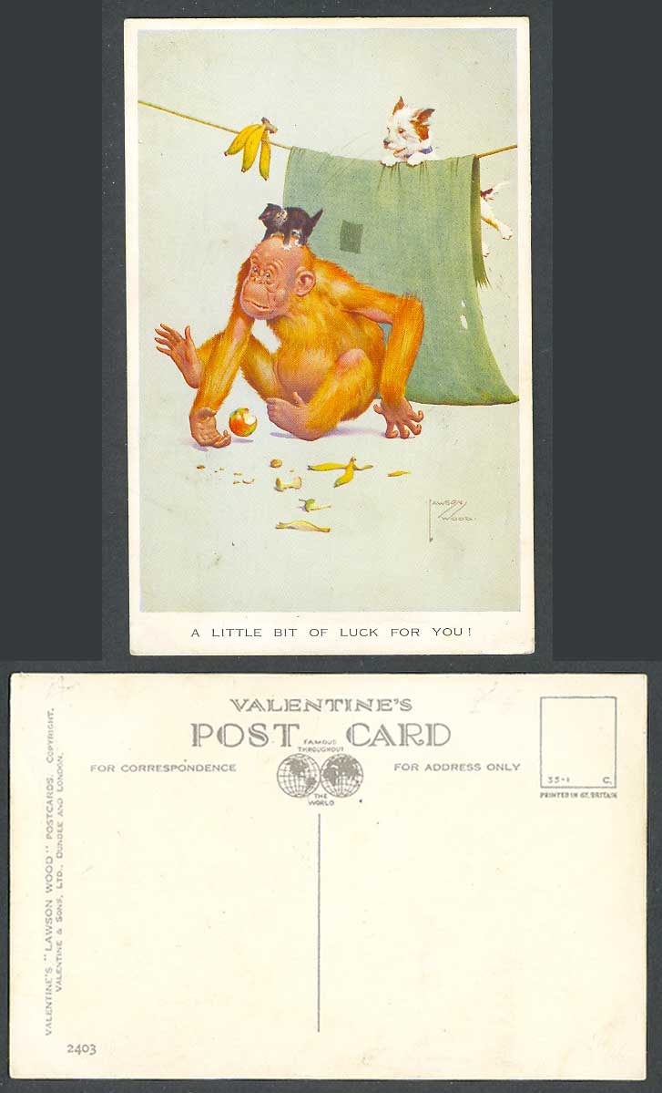 LAWSON WOOD Old Postcard A Little Bit of Luck For You! Monkey Dog Black Cat 2403