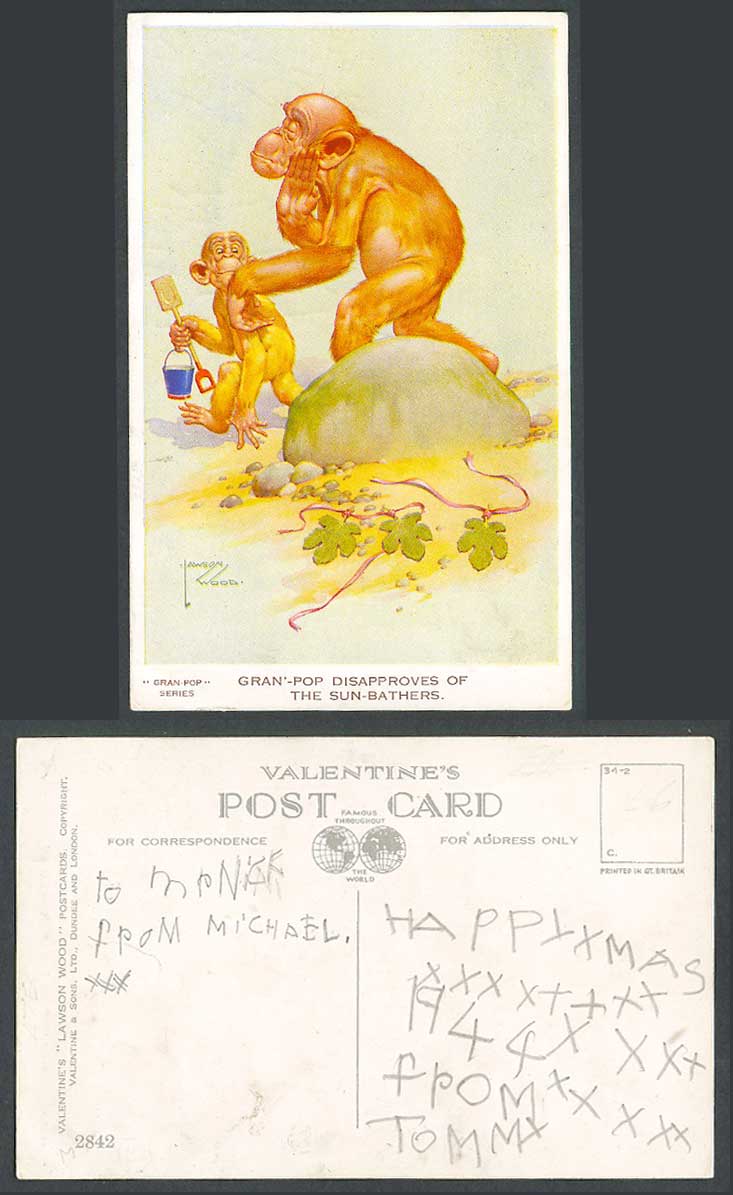 Lawson Wood Old Postcard Gran'-Pop Disapproves of Sun-Bathers. Chimpanzee Monkey