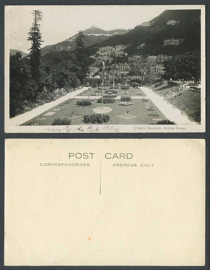 Hong Kong China Old Real Photo Postcard Public Garden Palm Trees Mountains Plant