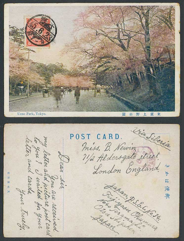 Japan 4s 1912 Old Postcard Uyeno Ueno Park Tokyo Cherry Blossoms Rickshaw 東京上野公園