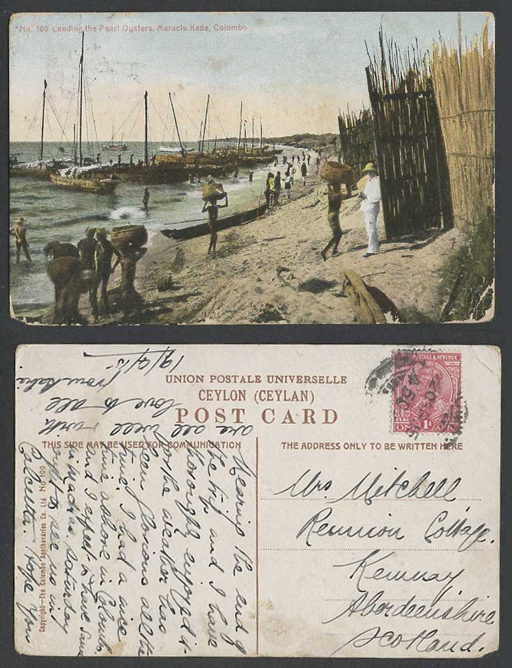 Ceylon KG5 1a 1915 Old Color Postcard Landing Pearl Oysters Maraclu Kade Colombo