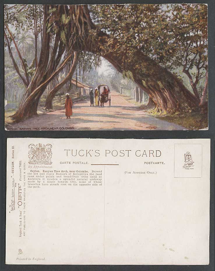 Ceylon Old Tuck's Oilette Postcard BANYAN TREE ARCH Colombo Street & Native Cart
