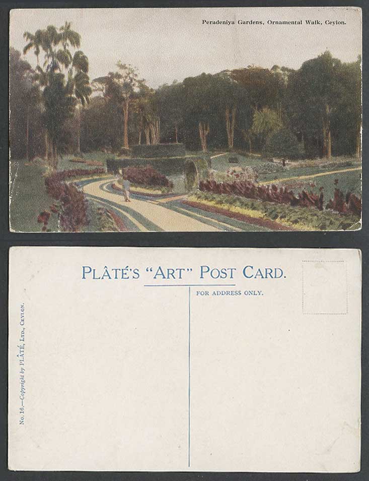 Ceylon Old Colour Postcard Peradeniya Gardens Ornamental Walk, Plate's ART N. 16