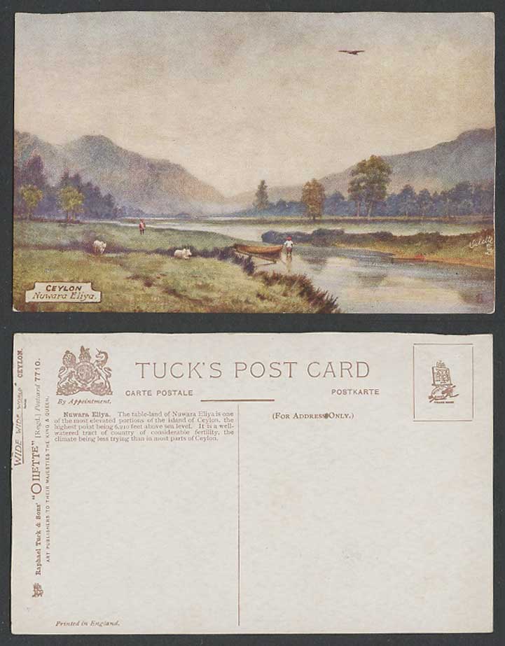 Ceylon Old Tuck's Oilette Postcard Nuwara Eliya, Lake Hills Cattle Natives Boat