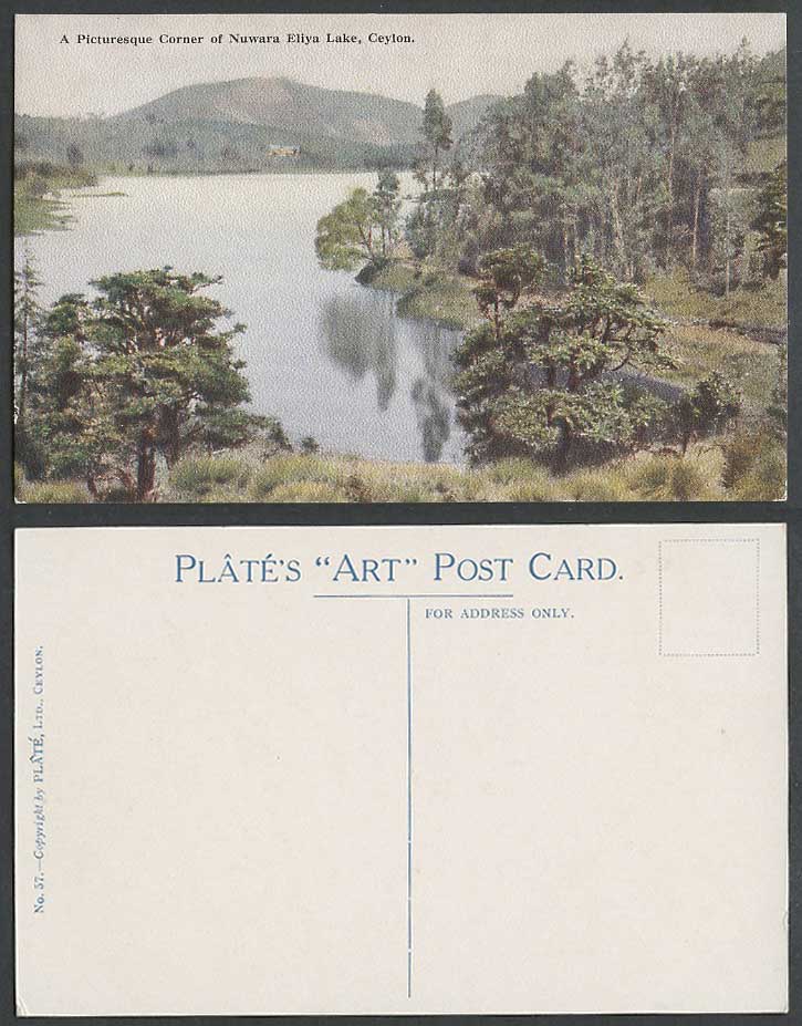 Ceylon Old Postcard A Picturesque Corner of Nuwara Eliya Lake Panorama Plate ART