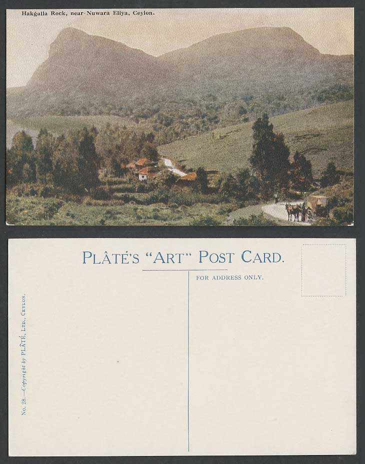 Ceylon Old Postcard Hakgalla Rock Nuwara Eliya Mountains Double Bullock Cart ART