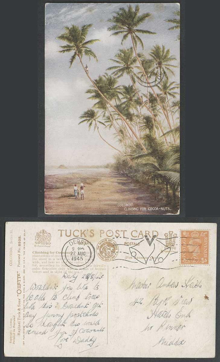 Ceylon 1945 Old Tuck's Oilette Postcard Colombo, Native Climbing for Cocoa-Nuts