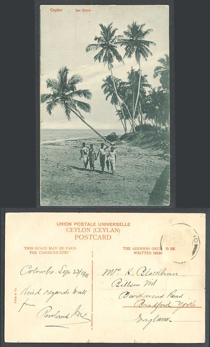 Ceylon 1905 Old Postcard Sea Shore Seashore Tramping across The Sands Palm Trees