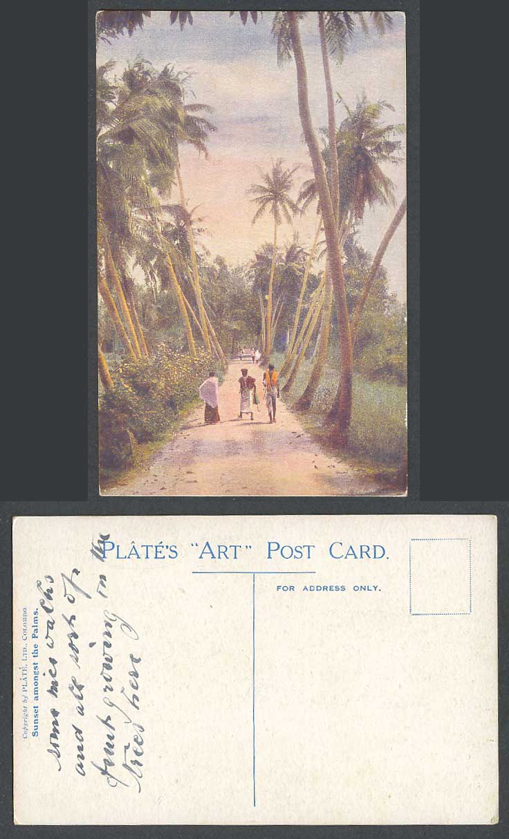 Ceylon Old Postcard Sunset Amongst The Palms Palm Trees Road Natives Plate's ART