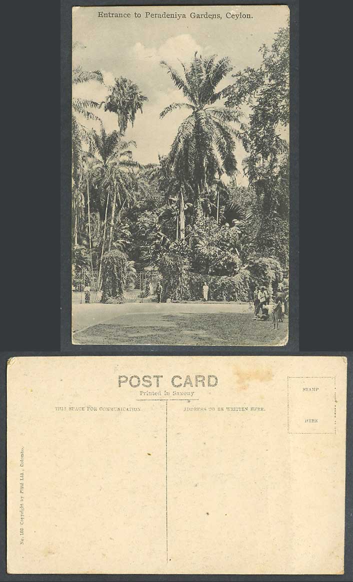Ceylon Old Postcard Entrance to Peradeniya Gardens Kandy Palm Trees Native Guard
