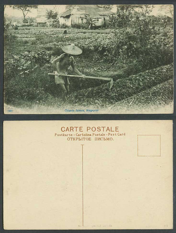 Singapore Old Postcard Chinese Farmer Working, Farmhouse Hut, Agriculture Ethnic