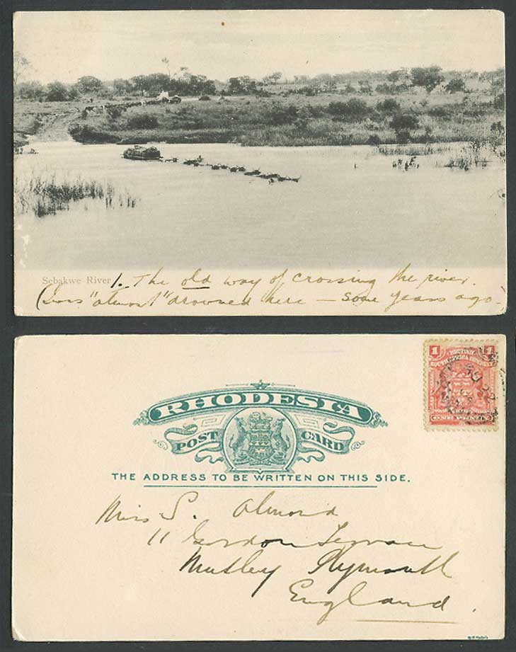 Rhodesia Br South Africa Co 1d 1904 Old Postcard Sebakwe River Scene Cattle Cart