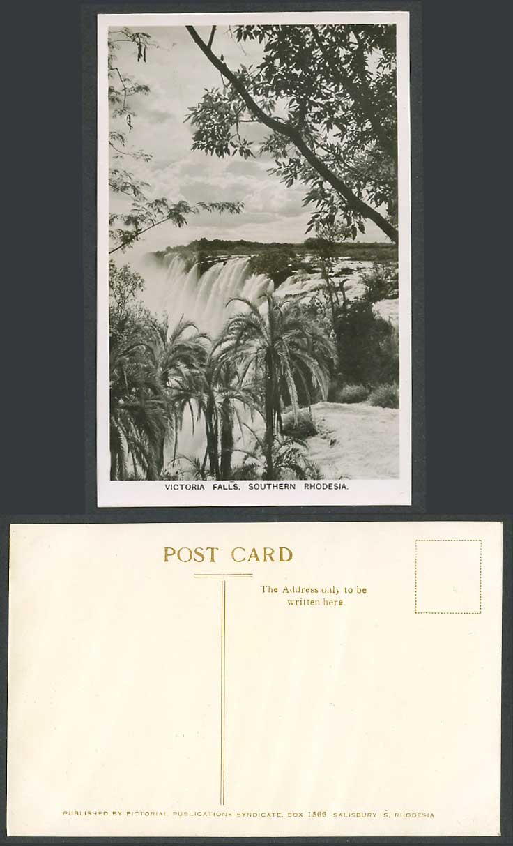 Southern Rhodesia, Victoria Falls Old Real Photo Postcard Waterfalls, Palm Trees