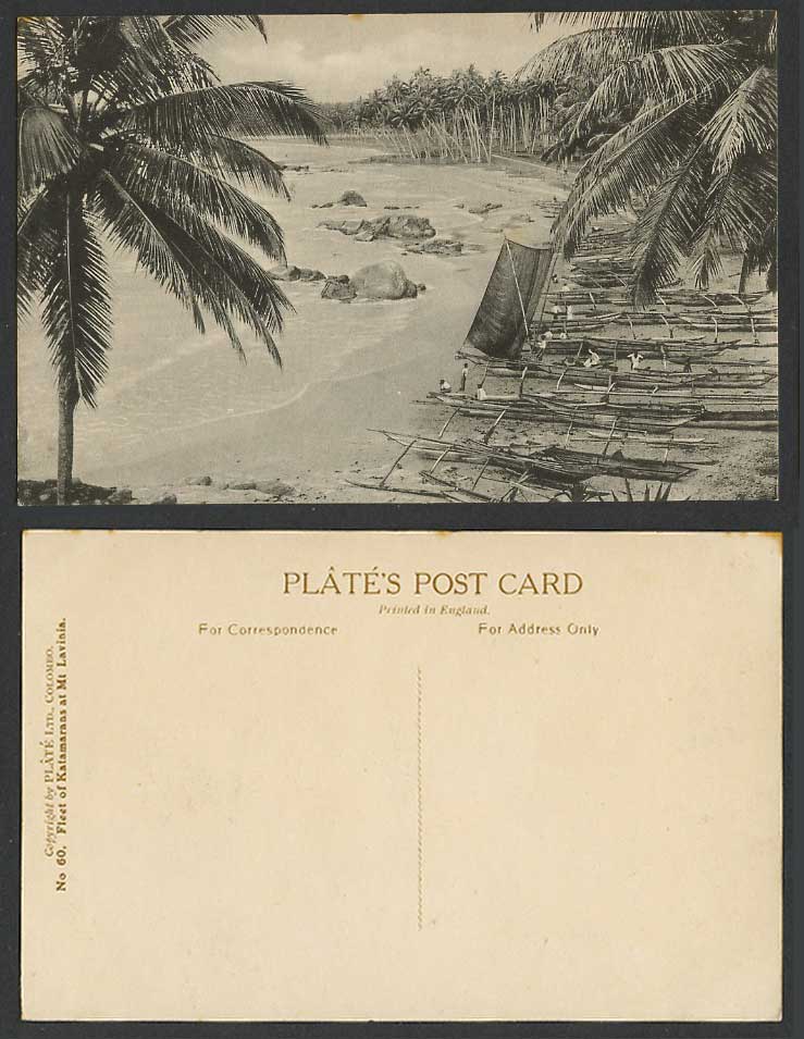 Ceylon Old Postcard Fleet of Katamaran Fishing Boats, Mt. Lavinia Colombo, Palms