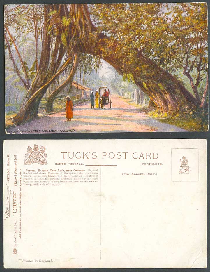 Ceylon Old Tuck's Oilette Postcard Banyan Tree Arch nr Colombo Street Scene Cart