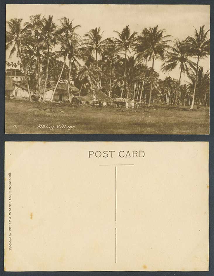 Singapore Old Postcard Malay Village Native Huts Houses Palm Trees Kelly & Walsh