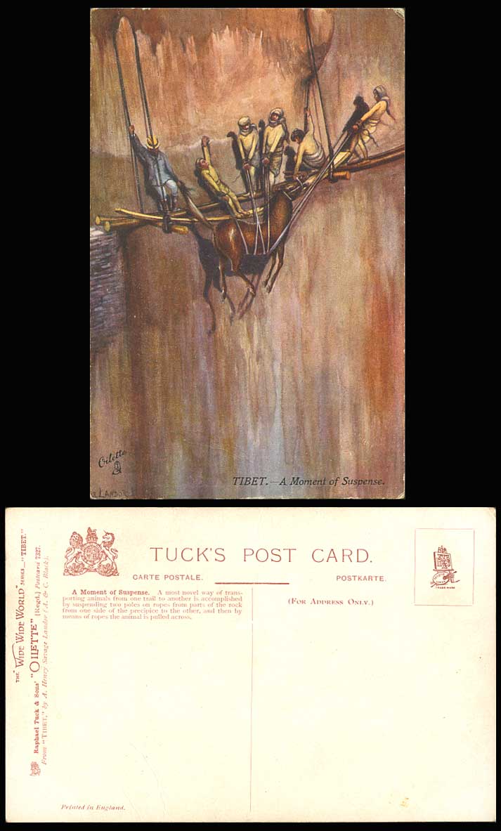 TIBET China Tibetan Pulling Horse Moment of Suspense Old Tuck's Oilette Postcard